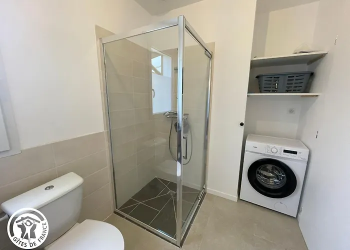 Coquelicot Pres Des Plages Vendeennes - Fr-1-426-573